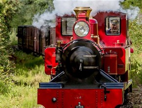 Strawberries & Steam - July Weekends