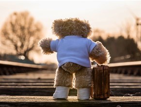 Teddy Bear Express - 12th to 20th February 2022