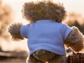 Teddy Bear Express - 17th to 25th February